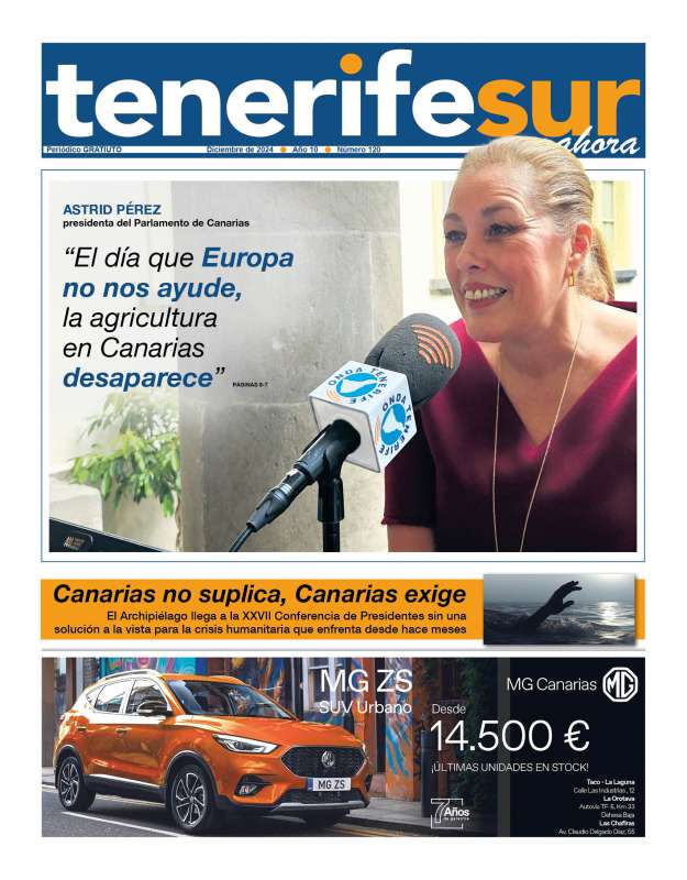Edición de diciembre de Tenerife Sur AHORA